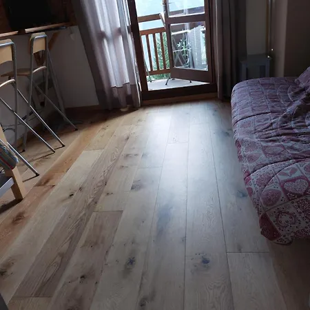 Studio Ski Apartment * Les Deux Alpes