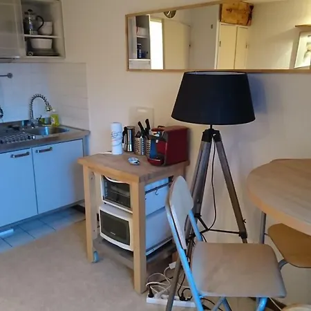 Studio Ski Apartment * Les Deux Alpes