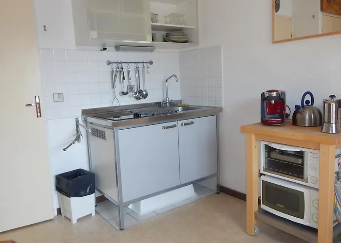 Апартаменты Studio Ski Apartment Ле дез Альп