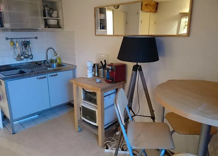 Studio Ski Apartment * Ле дез Альп